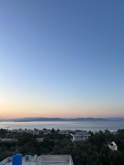 Villa Leo Aigina Βαθύ Εξωτερικό φωτογραφία
